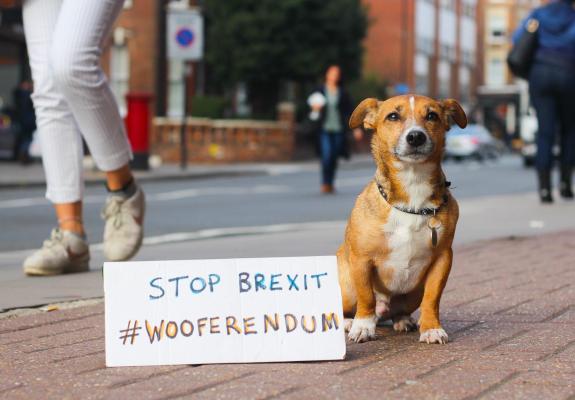 Για το Brexit διαδηλώνουν σήμερα σκύλοι στο Λονδίνο
