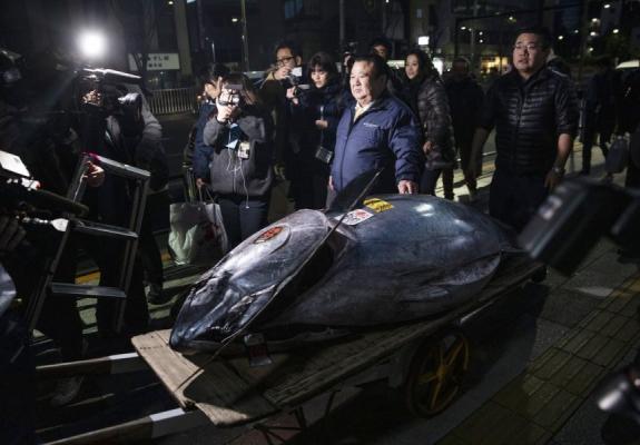 Ψάρι πωλήθηκε για $3,1 εκατ. στο Τόκιο