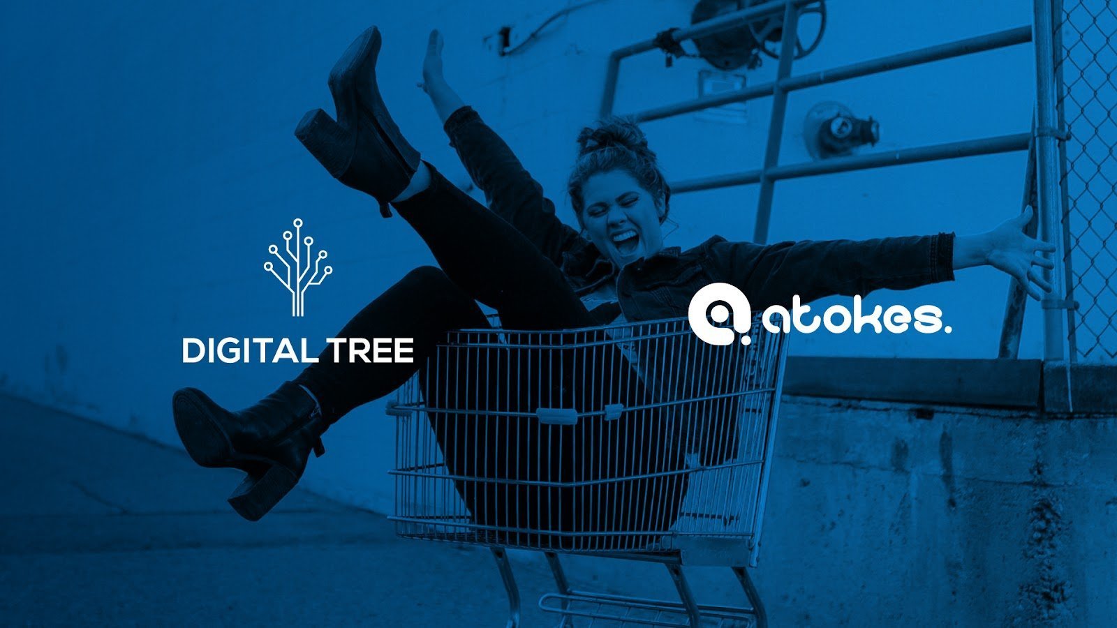 Συνεργασία της Digital Tree με την κυπριακή star-up εταιρεία Atokes