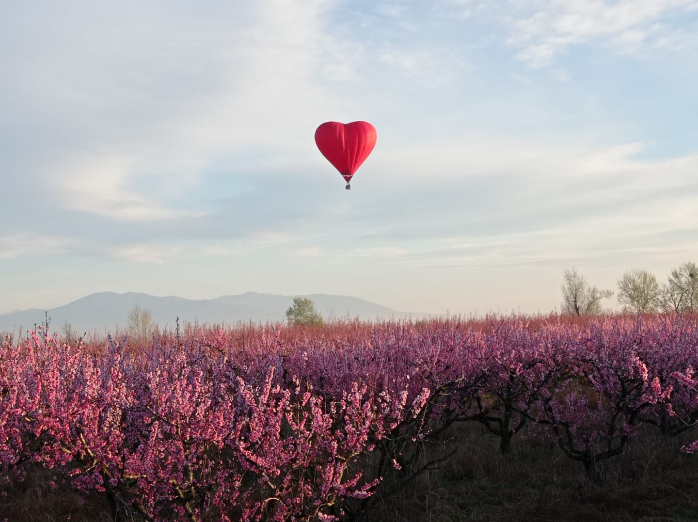 Αερόστατο-καρδιά «πετά» πάνω από την Βέροια και οι εικόνες είναι μαγικές