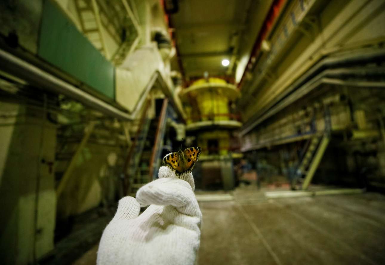 Επισκέπτης κρατάει μια πεταλούδα που βρήκε σε αντλιοστάσιο του σταματημένου τρίτου αντιδραστήρα