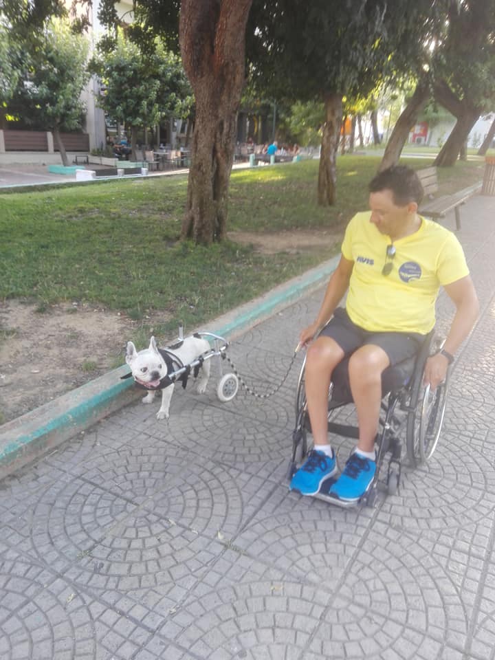 O Γιάννης Κωστάκης, στην πρώτη βόλτα του Pepe με αμαξίδιο που φτιάχτηκε με τη συμβολή του παγκόσμιου πρωταθλητή κολύμβησης. 