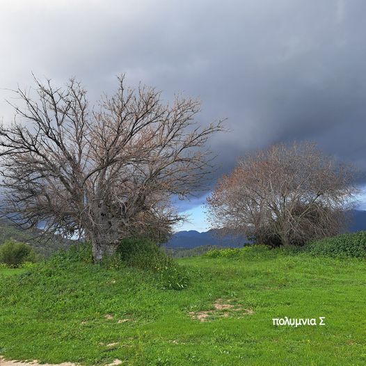 βρετσια