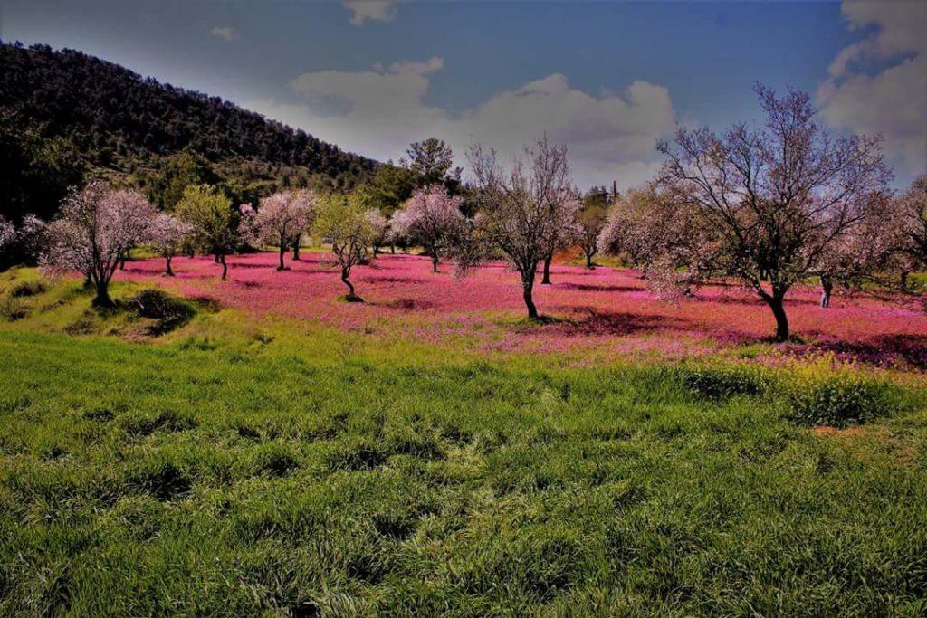 κληρου2