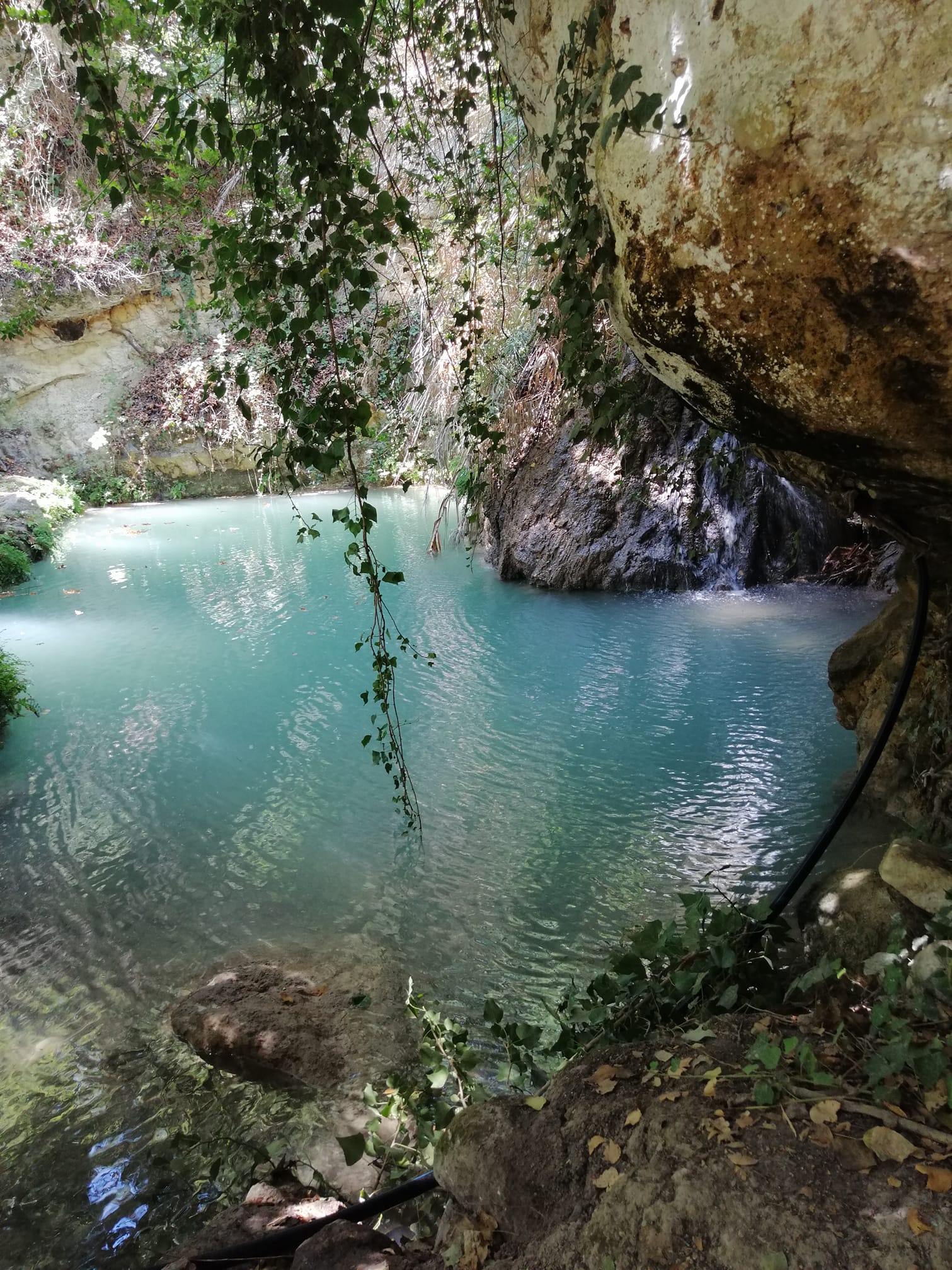 κρεμμιωτης 