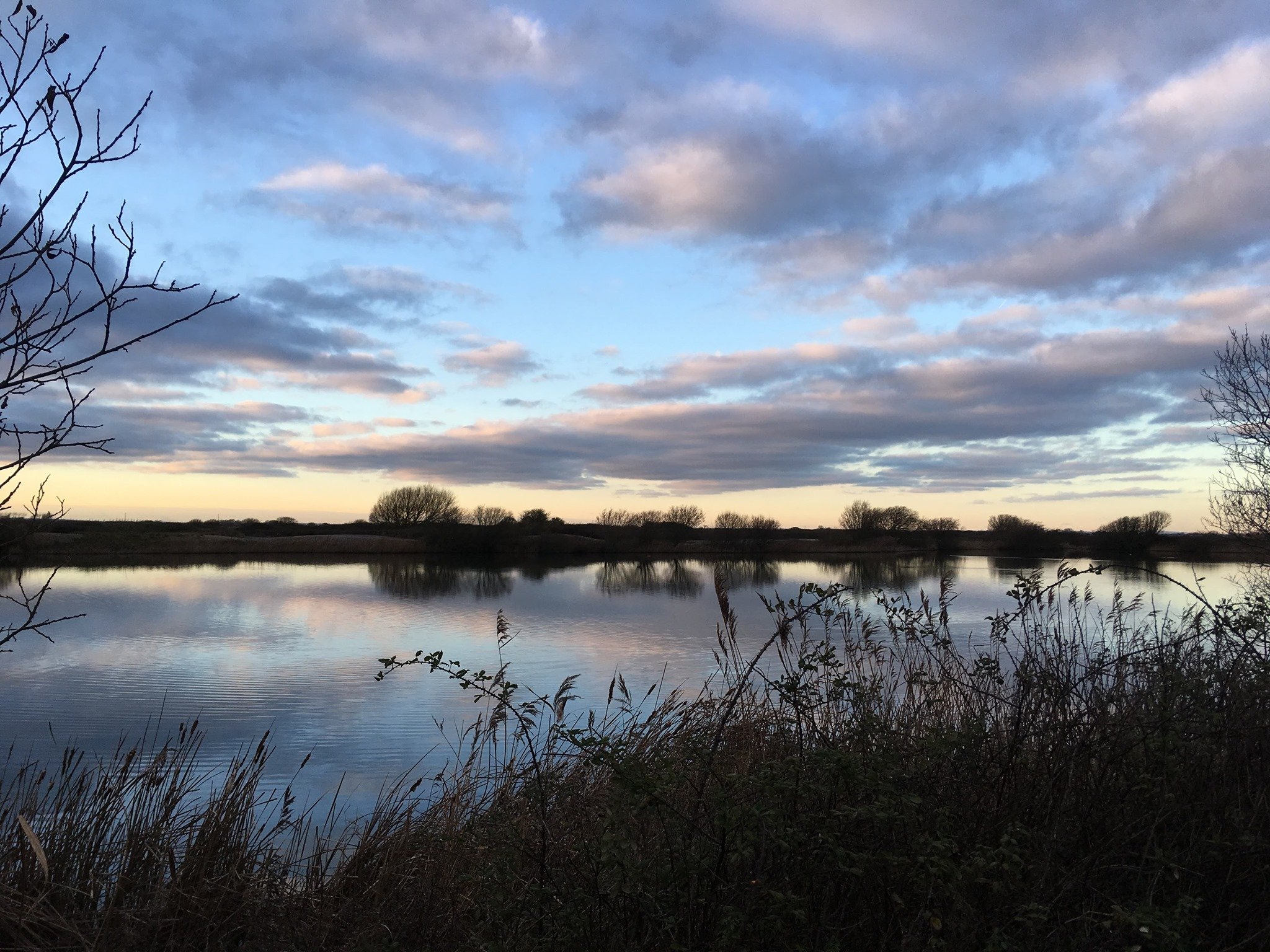 Romney Marsh