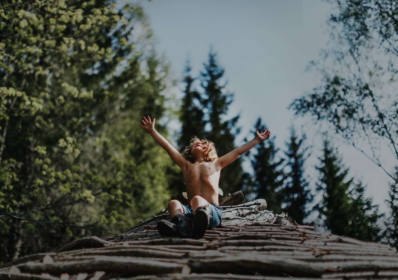 a new kind of wilderness