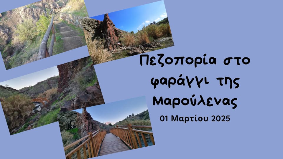 maroylena