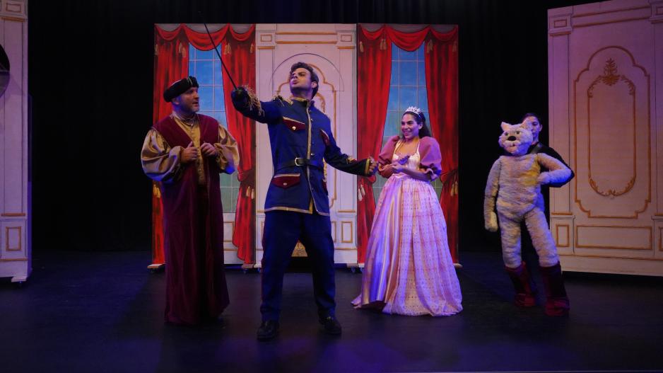 γατος με τις μποτες