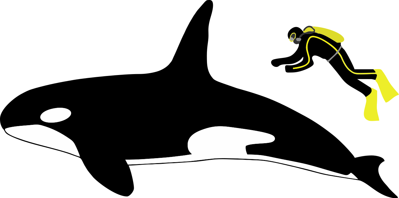 ηδηδη