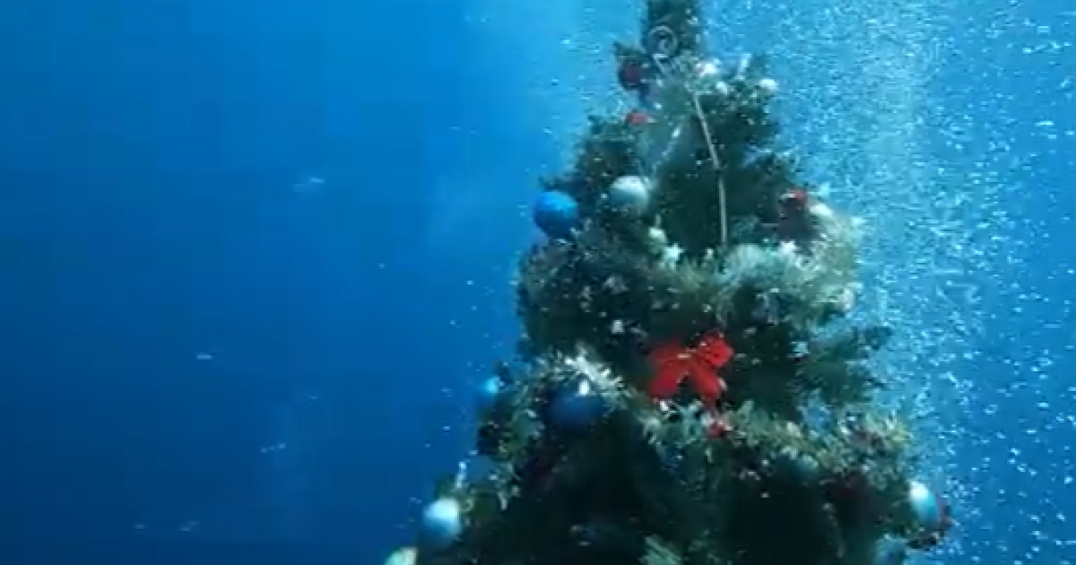 Το ναυάγιο στη Λάρνακα ήταν διακοσμημένο για τα Χριστούγεννα [VIDEO]
