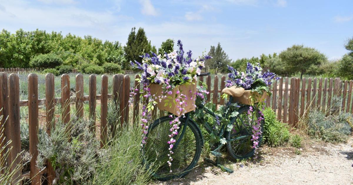 &Mu;&alpha;&gamma;&iota;ά&tau;&iota;&kappa;&omicron; &Phi;&epsilon;&sigma;&tau;&iota;&beta;ά&lambda; &Alpha;&kappa;&rho;&omicron;ύ&nu;&tau;&alpha;&sigmaf; 2026: &Mu;&iota;&alpha; &alpha;&nu;&omicron;&iota;&xi;&iota;ά&tau;&iota;&kappa;&eta; &gamma;&iota;&omicron;&rho;&tau;ή &gamma;&iota;&alpha; ό&lambda;&omicron;&upsilon;&sigmaf;