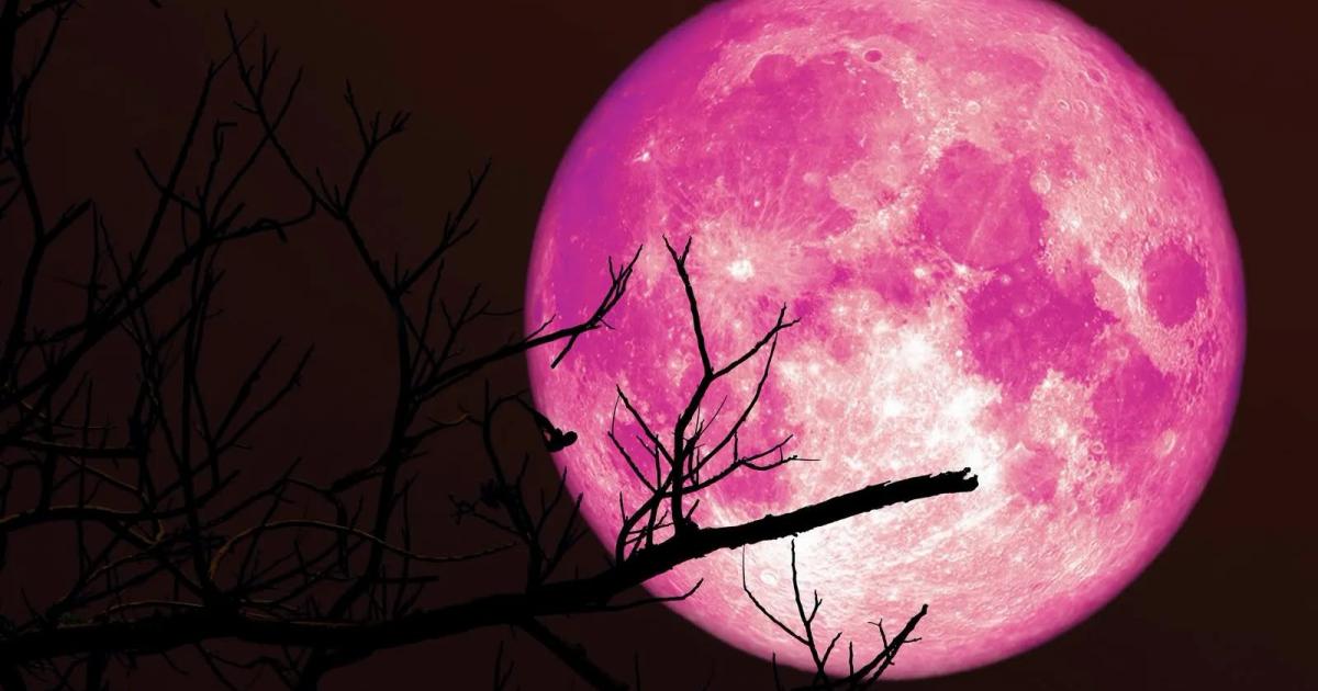 &laquo;&Phi;&epsilon;&gamma;&gamma;ά&rho;&iota; &tau;&eta;&sigmaf; &Phi;&rho;ά&omicron;&upsilon;&lambda;&alpha;&sigmaf;&raquo;: &Eta; &pi;&alpha;&nu;&sigma;έ&lambda;&eta;&nu;&omicron;&sigmaf; &tau;&omicron;&upsilon; &Iota;&omicron;ύ&nu;&eta; &phi;&omega;&tau;ί&zeta;&epsilon;&iota; &tau;&omicron;&nu; &omicron;&upsilon;&rho;&alpha;&nu;ό