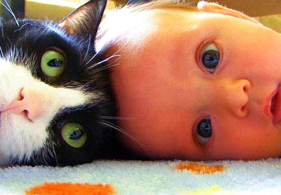 Όταν ένα μωρό μεγαλώνει με γάτα μειώνεται ο κίνδυνος άσθματος