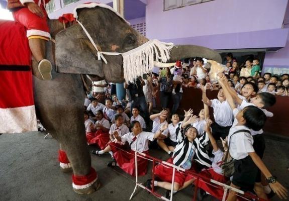 Τέσσερις ελέφαντες φορτωμένοι με δώρα επισκέφτηκαν μαθητές στην Αγιουτάγια