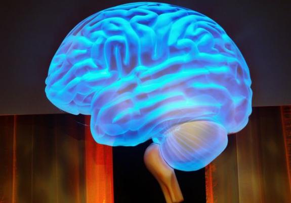 Επιστήμη: Εντοπίστηκε νευρωνικό αποτύπωμα της συνείδησης στον εγκέφαλο