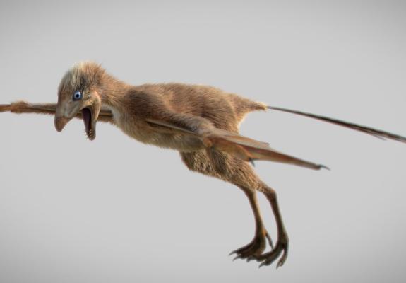 Ο μικροσκοπικός δεινόσαυρος που ανακάλυψαν στην Κίνα