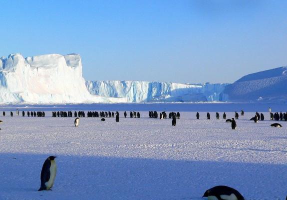 Ρίξτε τεχνητό χιόνι στην Ανταρκτική, προτείνουν επιστήμονες