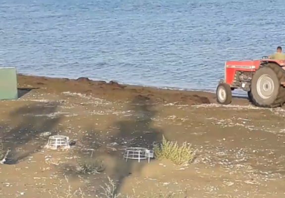 Cyprus BΑΝΑΝIΑ: Τρακτέρ θερίζει παραλία με χελώνες!