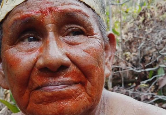 Αρχηγός φυλής στον Αμαζόνιο δακρύζει για την καταστροφή του δάσους