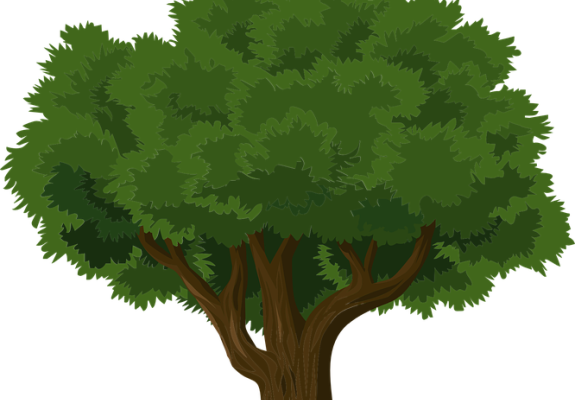 «Η ιδέα είναι απλή: 1 δέντρο για κάθε δημότη της Λευκωσίας»