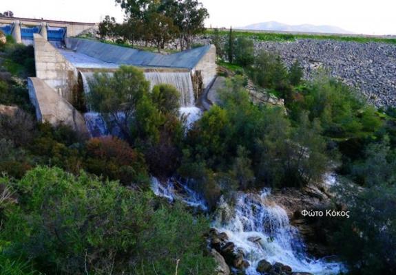 ΓΕΡΜΑΣΟΓΕΙΑ: Το… καλάμι που έσπασε το κυπριακό διαδίκτυο