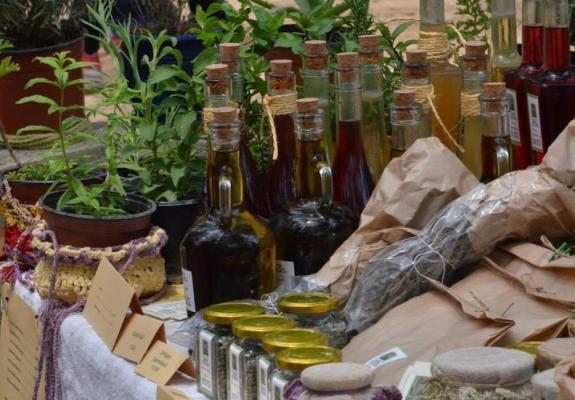 Την Κυριακή στο Δάσος της Αθαλάσσας αποδεικνύουμε τον σεβασμό μας στη φύση