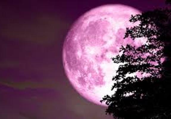 Η Άνοιξη υποδέχεται απόψε το Ροζ Φεγγάρι