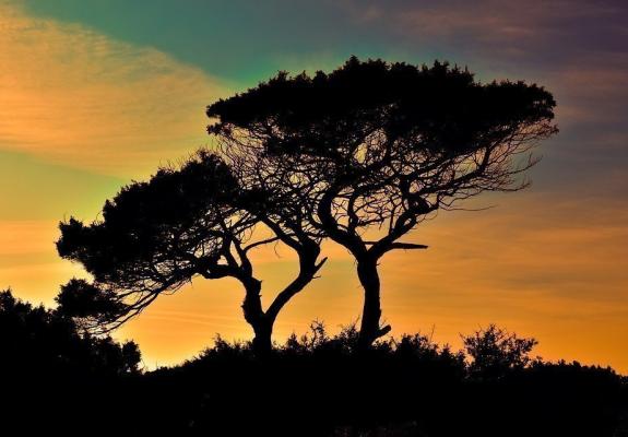 Κύπρος:  Στα χαρτιά οι δράσεις για το περιβάλλον