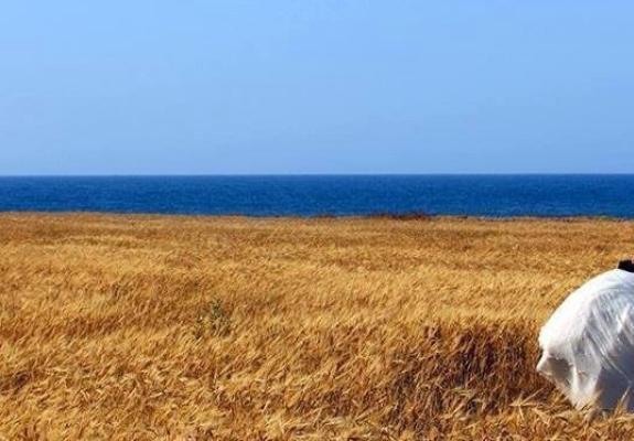 Η ιστοσελίδα που μόνο στην Κύπρο επινοήθηκε