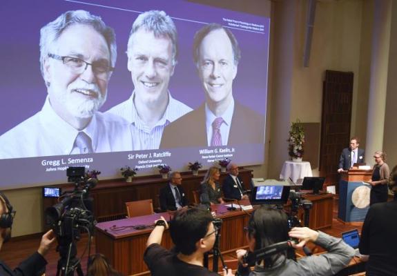 Το Νόμπελ Ιατρικής 2019 σε δύο Αμερικανούς και ένα Βρετανό