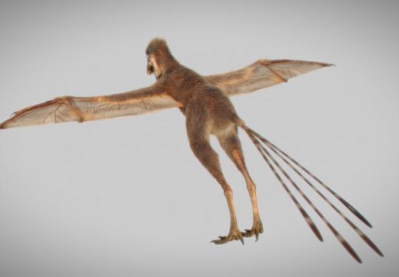 Δεινόσαυρος με φτερά νυχτερίδας ανακαλύφθηκε στην Κίνα