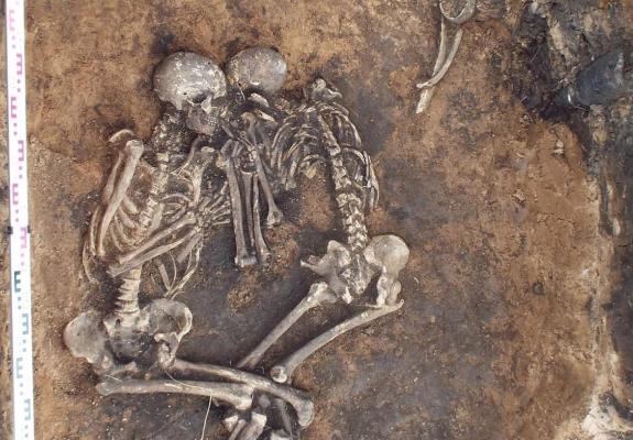 Βακτήριο πανούκλας ηλικίας 3.800 ετών