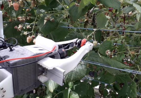 Το ρομπότ που μαζεύει φρούτα γρηγορότερα από εμάς