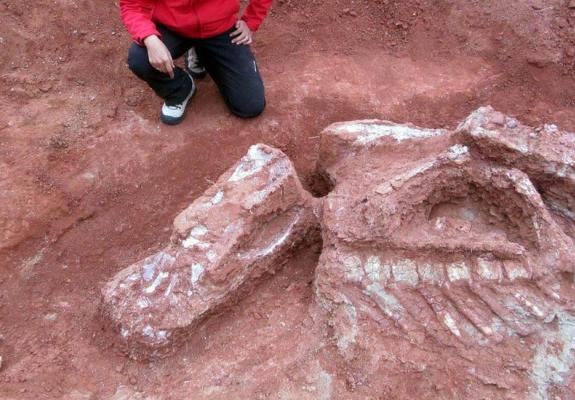 Απολιθώματα γιγαντιαίου δεινοσαύρου ανακαλύφθηκαν στην Αργεντινή