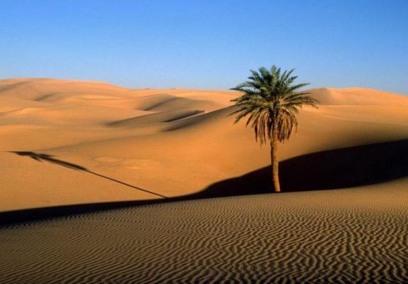 Ανανεώσιμες πηγές ενέργειας θα «πρασινίσουν» τη Σαχάρα