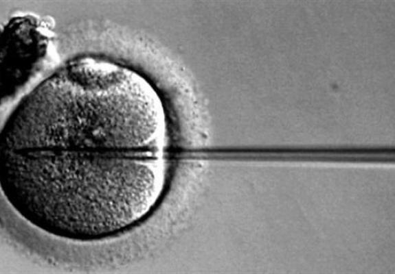 Τροποποίηση ανθρώπινων εμβρύων για πρώτη φορά στο Ηνωμένο Βασίλειο