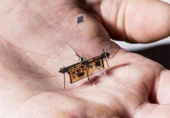 Robofly: Το πρώτο ασύρματο ρομποτικό έντομο