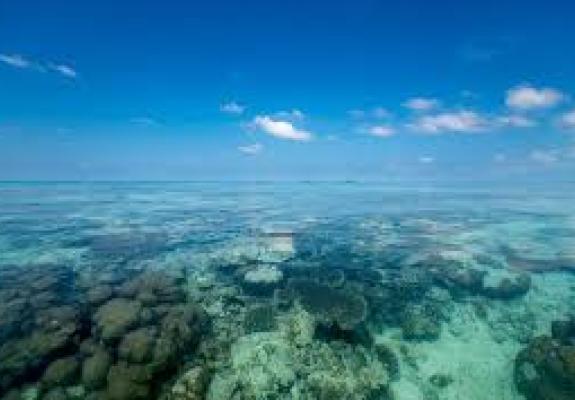 ΟΗΕ: Ανησυχεί για το επίπεδο ζέστης στους ωκεανούς