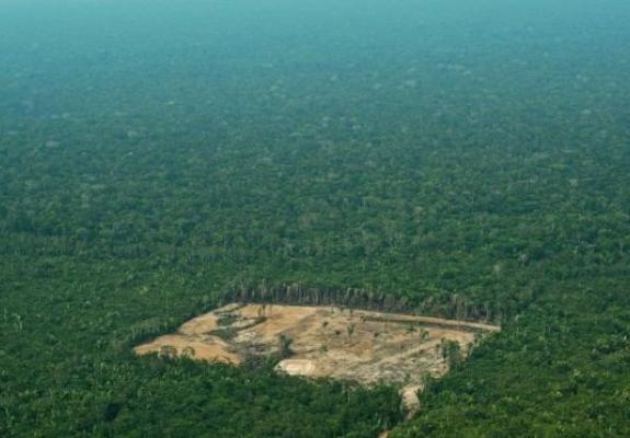 Αύξηση κατά 88% της αποψίλωσης του Αμαζονίου μόνο τον Ιούνιο