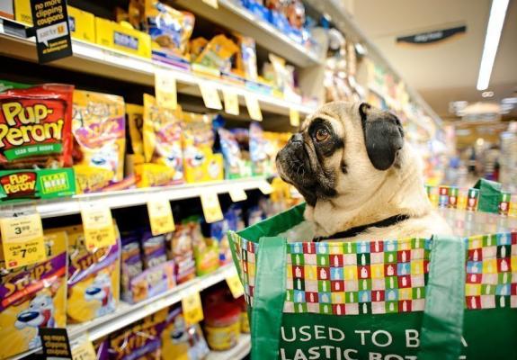 Οι Βρετανοί αδειάζουν τα supermarket και τα pet shops λόγω Brexit
