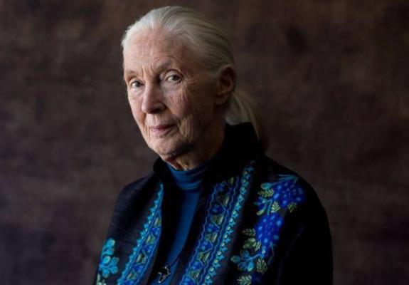 The Great Women: Jane Goodall