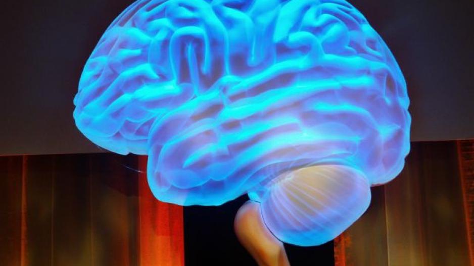 Επιστήμη: Εντοπίστηκε νευρωνικό αποτύπωμα της συνείδησης στον εγκέφαλο