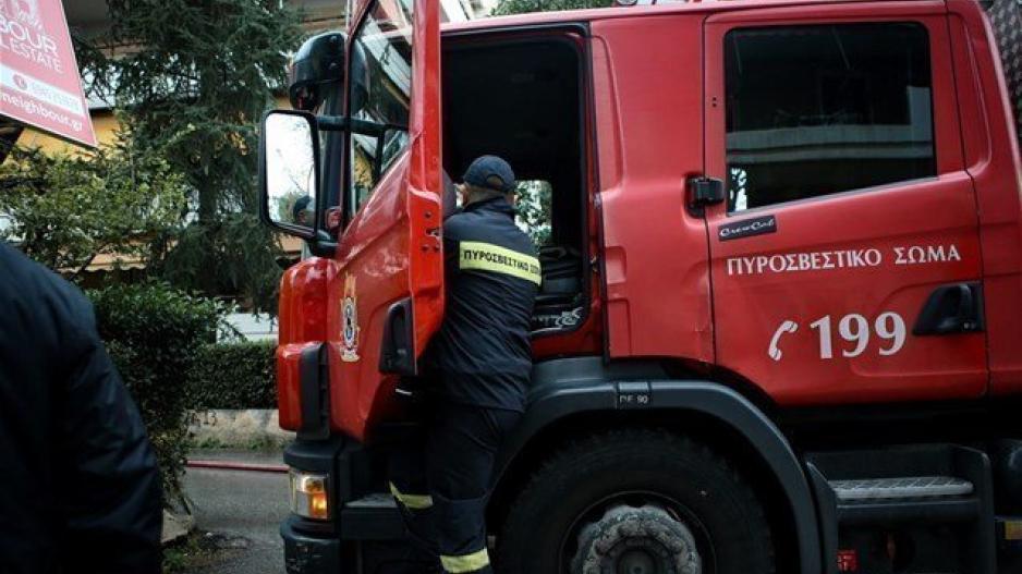Δεκάδες ζωάκια κάηκαν ζωντανά σε σπίτι στη Θεσσαλονίκη