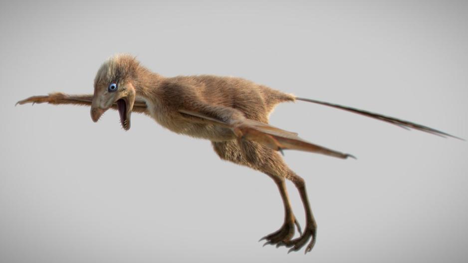 Ο μικροσκοπικός δεινόσαυρος που ανακάλυψαν στην Κίνα