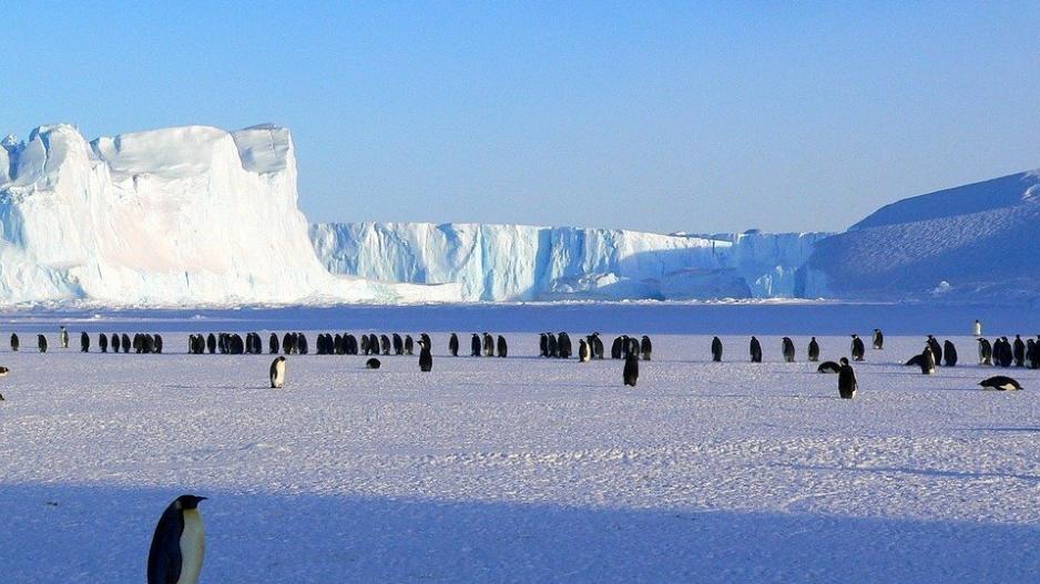 Ρίξτε τεχνητό χιόνι στην Ανταρκτική, προτείνουν επιστήμονες