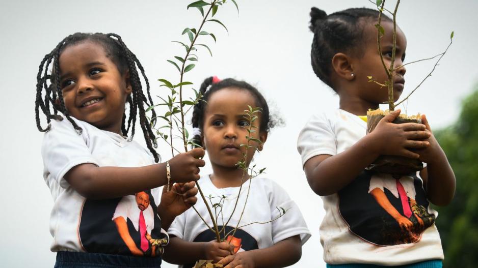 Στην Αιθιοπία έβαλαν στόχο να φυτέψουν 4 δισεκατομμύρια δέντρα!
