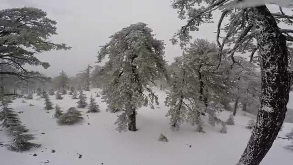 ΜΑΡΤΥΡΙΑ: Γέμισα το Instagram μου περσινές φωτογραφίες από το χιονισμένο Τρόοδος*