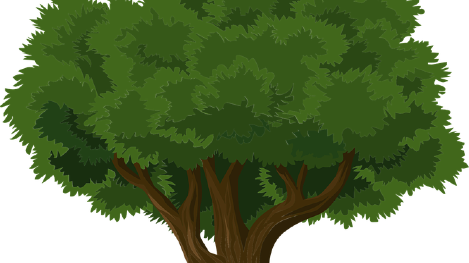 «Η ιδέα είναι απλή: 1 δέντρο για κάθε δημότη της Λευκωσίας»