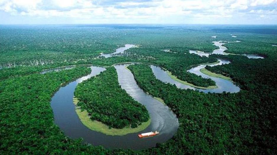 Διπλασιάστηκε η αποψίλωση του Αμαζονίου τον τελευταίο χρόνο